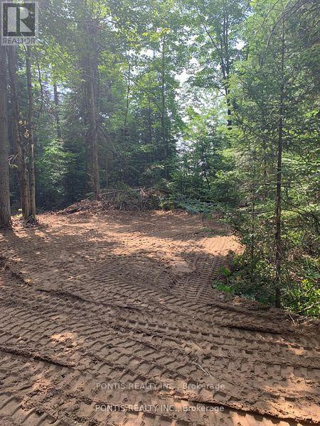 35 Almaguin Drive, Mcmurrich/monteith, Ontario  P0A 1C0 - Photo 6 - X12490562