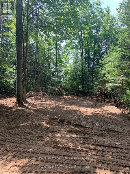 35 Almaguin Drive, Mcmurrich/monteith, Ontario  P0A 1C0 - Photo 8 - X12490562