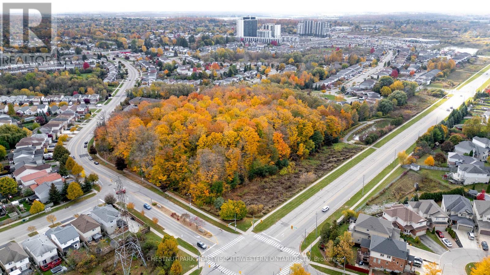 38 Heatherwood Place, Kitchener, Ontario  N2N 3P4 - Photo 50 - X12490644