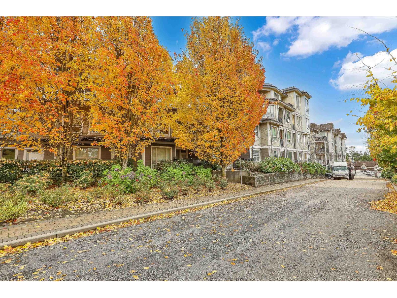 204 13897 Fraser Highway, Surrey, British Columbia  V3T 0G8 - Photo 24 - R3063251