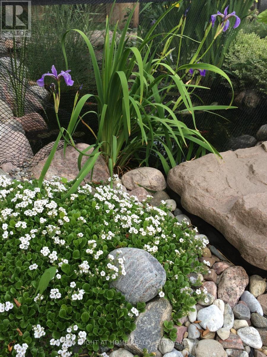 51 Redwood Lane, Markham (Unionville), Ontario  L3R 3Z1 - Photo 42 - N12490888