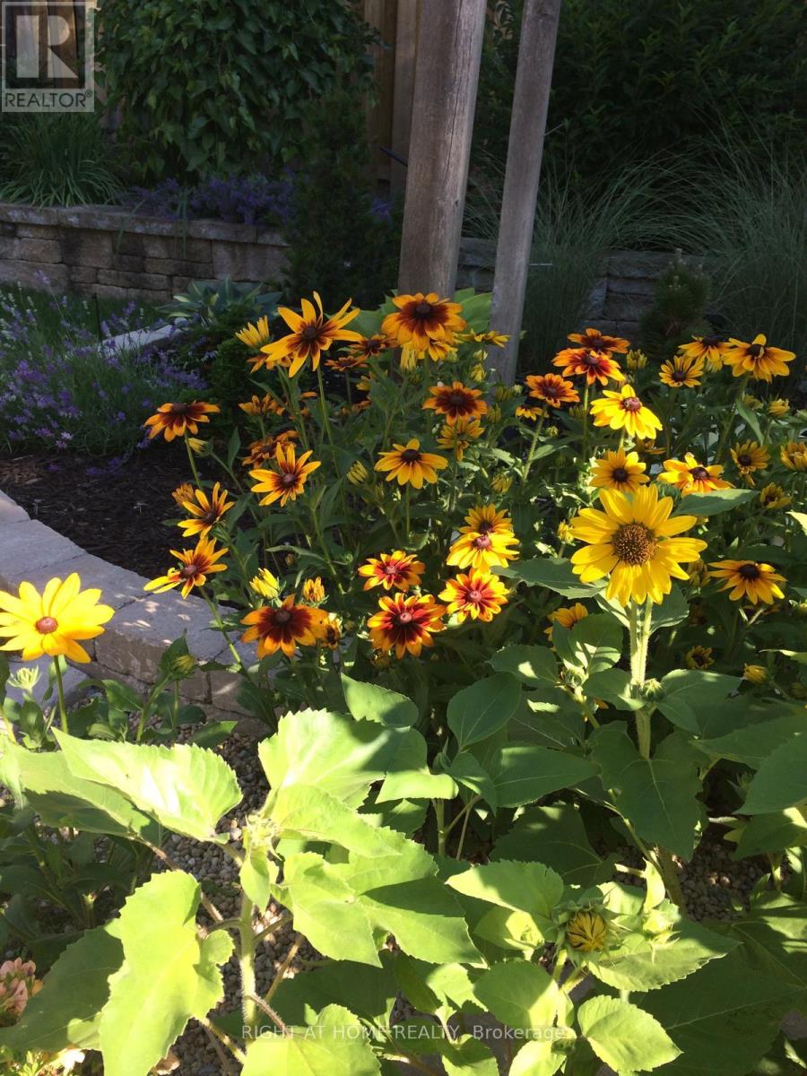 51 Redwood Lane, Markham (Unionville), Ontario  L3R 3Z1 - Photo 43 - N12490888