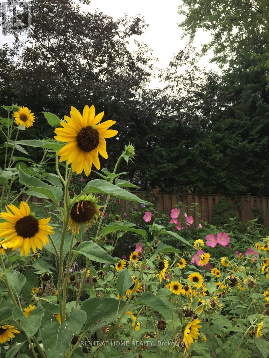 51 Redwood Lane, Markham (Unionville), Ontario  L3R 3Z1 - Photo 46 - N12490888