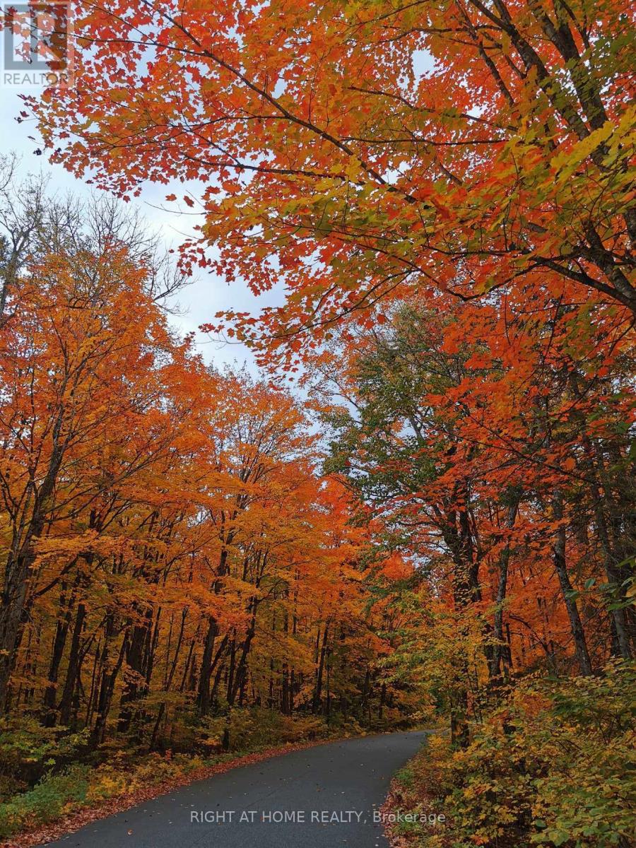 84 Diamond Valley Drive, Oro-Medonte (Sugarbush), Ontario  L0L 2E0 - Photo 47 - S12490990