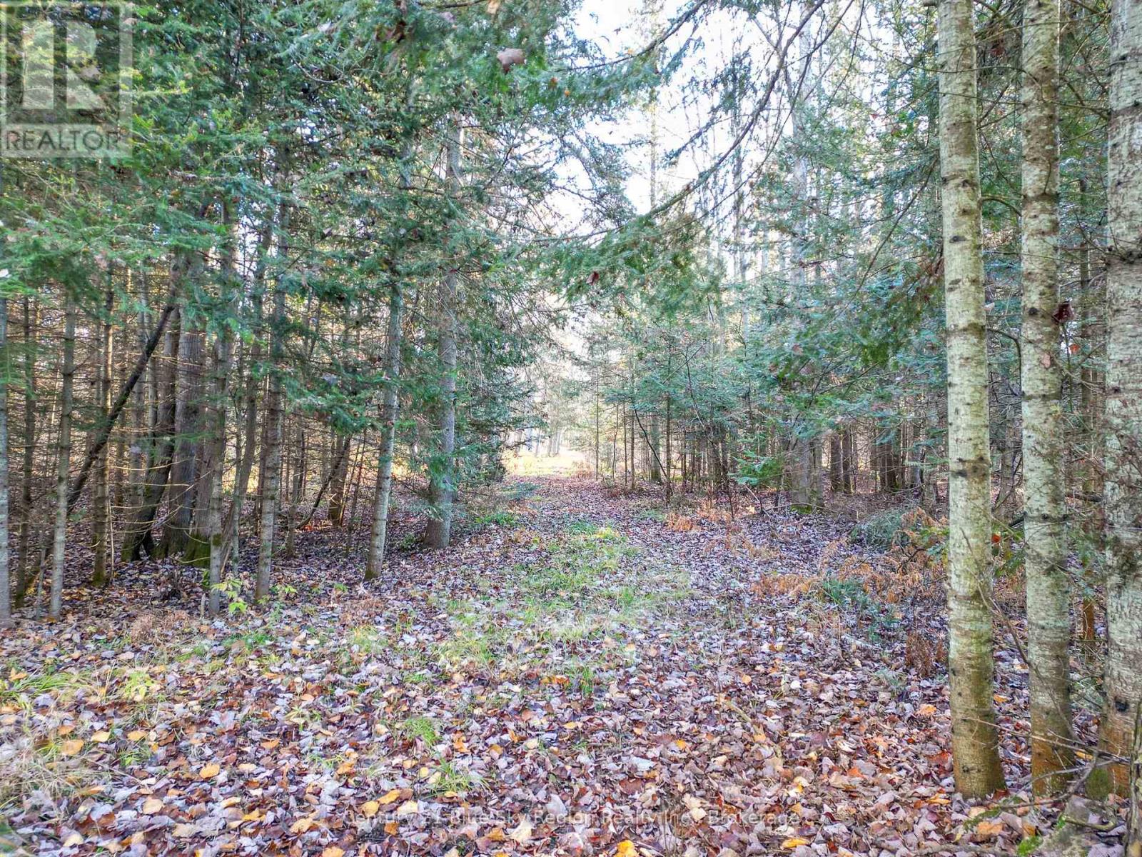 994 Premier Road, North Bay, Ontario  P1A 2H8 - Photo 44 - X12296953