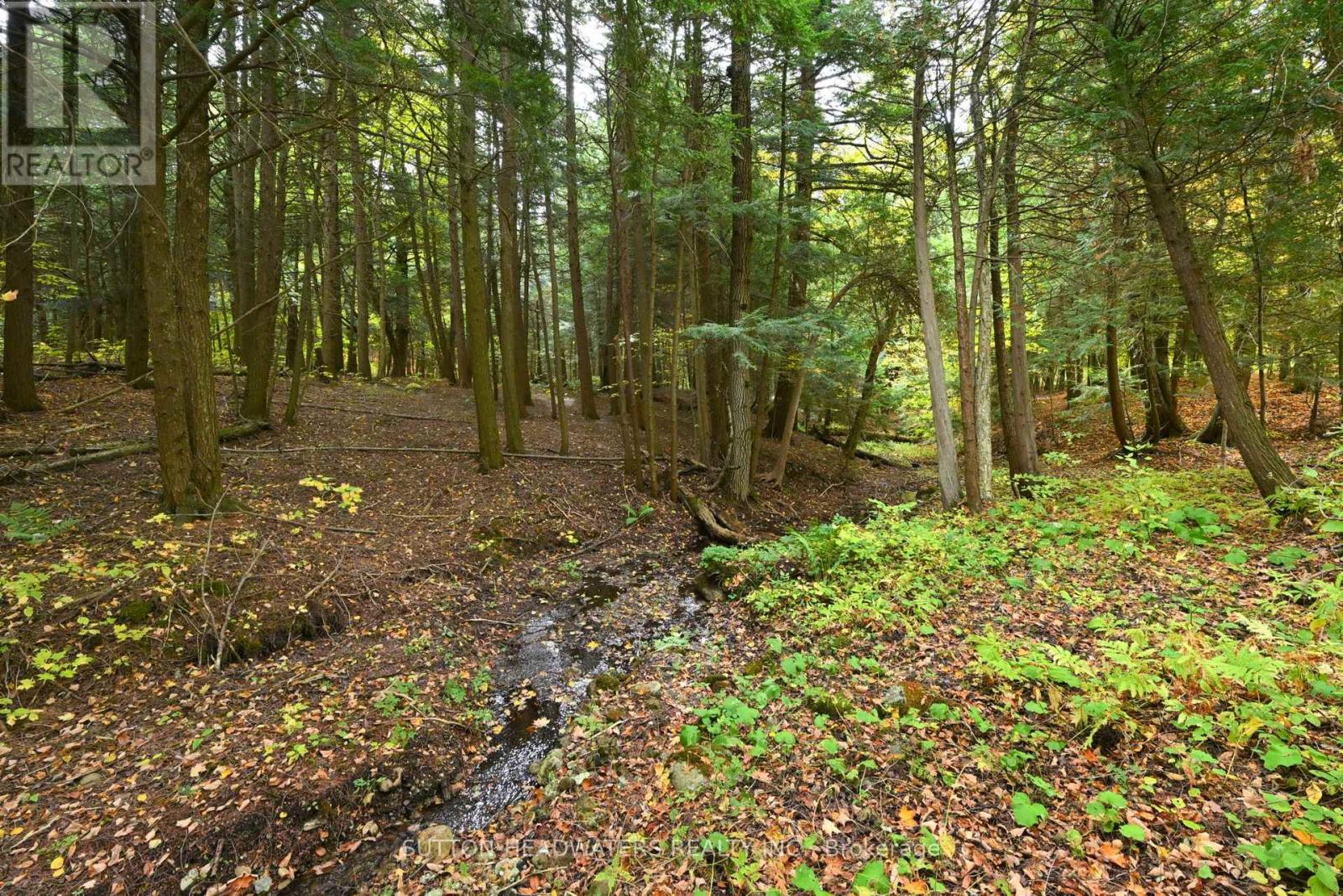 12 Flaherty Lane, Caledon, Ontario  L7K 2P3 - Photo 30 - W12471042