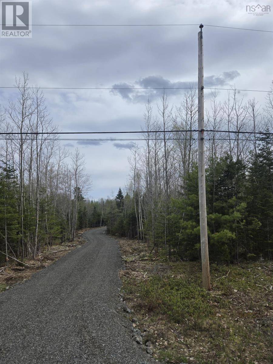 Lot #3 Waterloo Road, Waterloo, Nova Scotia  B4V 8L7 - Photo 11 - 202512076