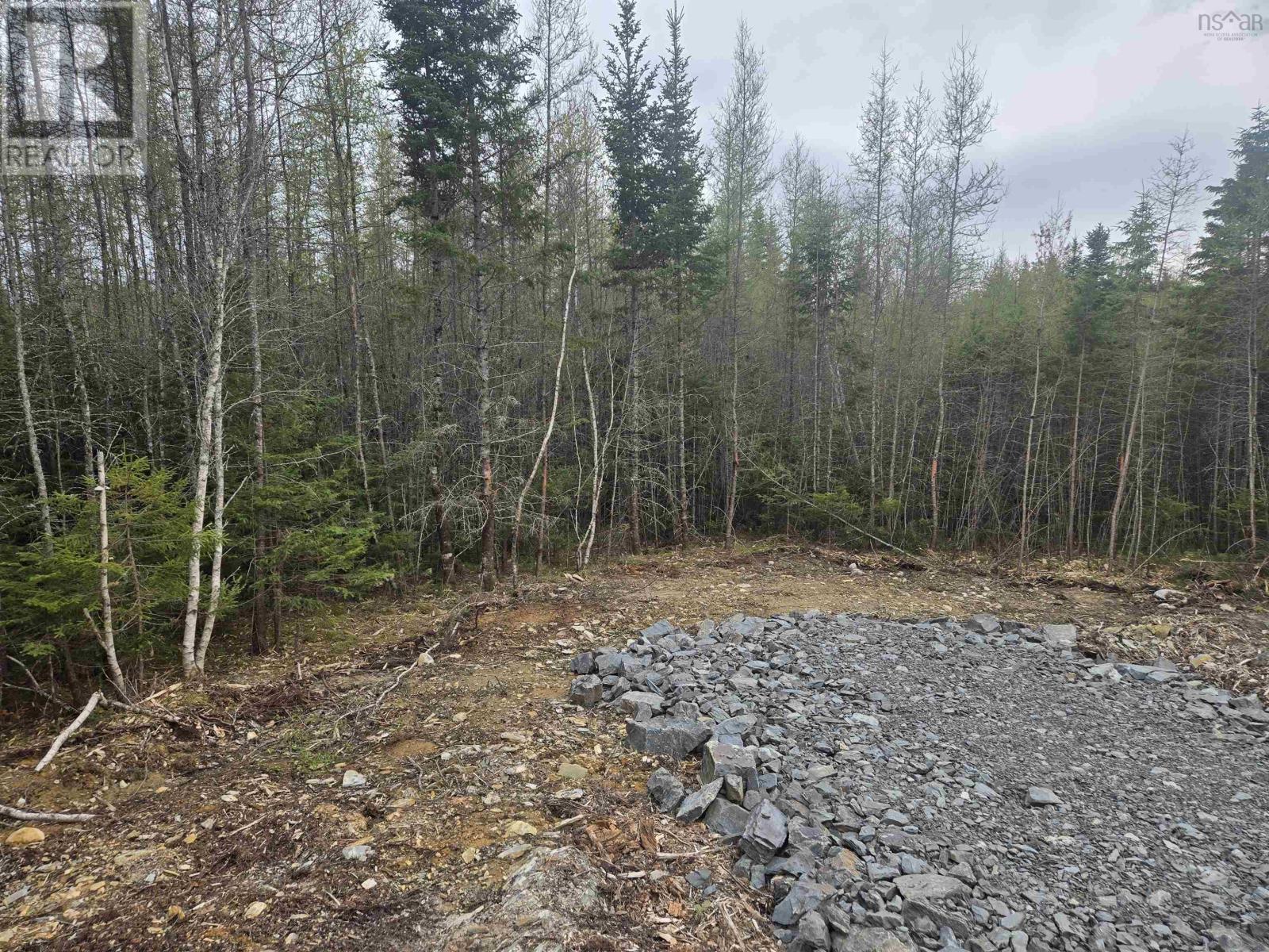 Lot #3 Waterloo Road, Waterloo, Nova Scotia  B4V 8L7 - Photo 3 - 202512076