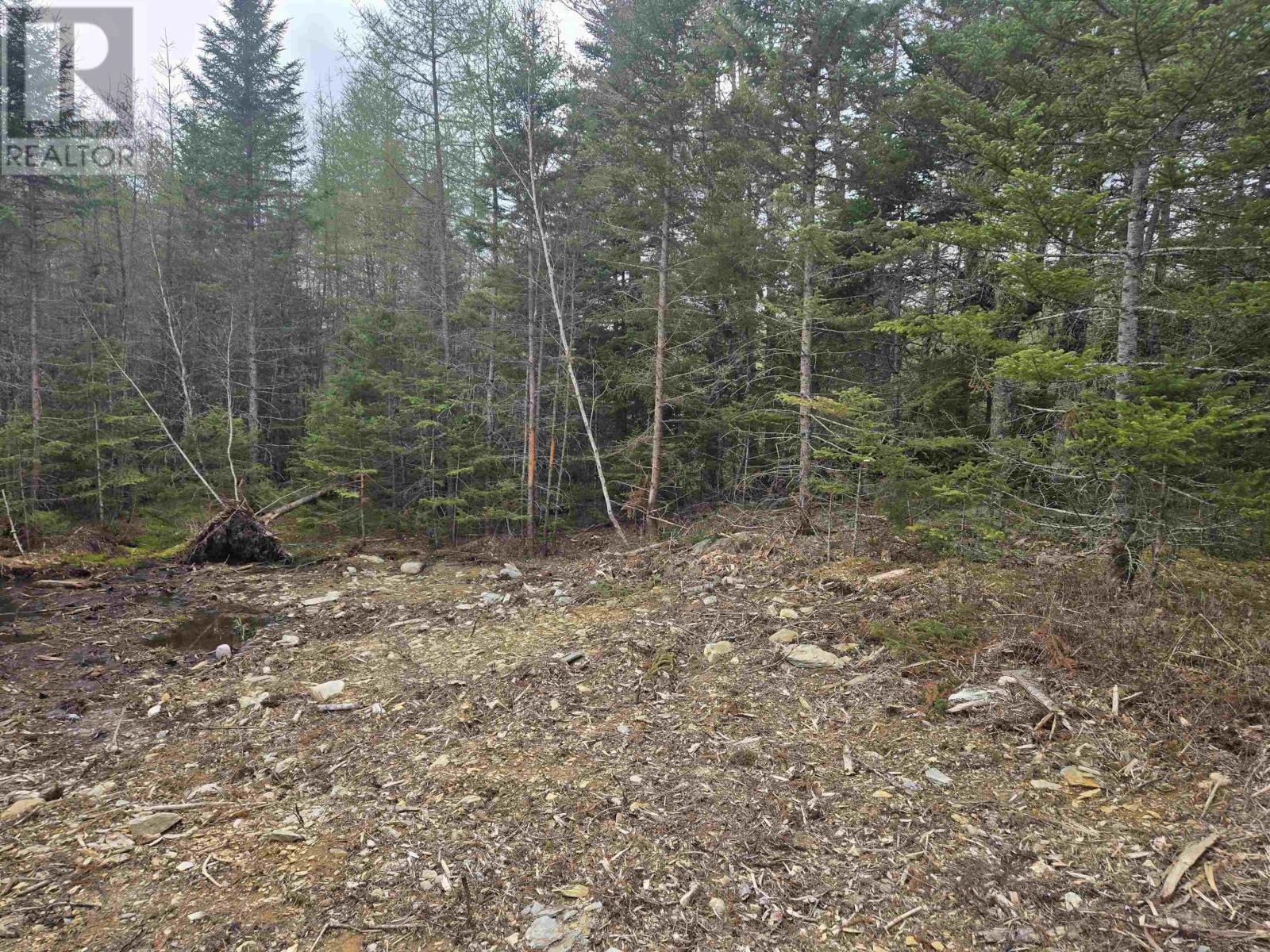 Lot #3 Waterloo Road, Waterloo, Nova Scotia  B4V 8L7 - Photo 7 - 202512076