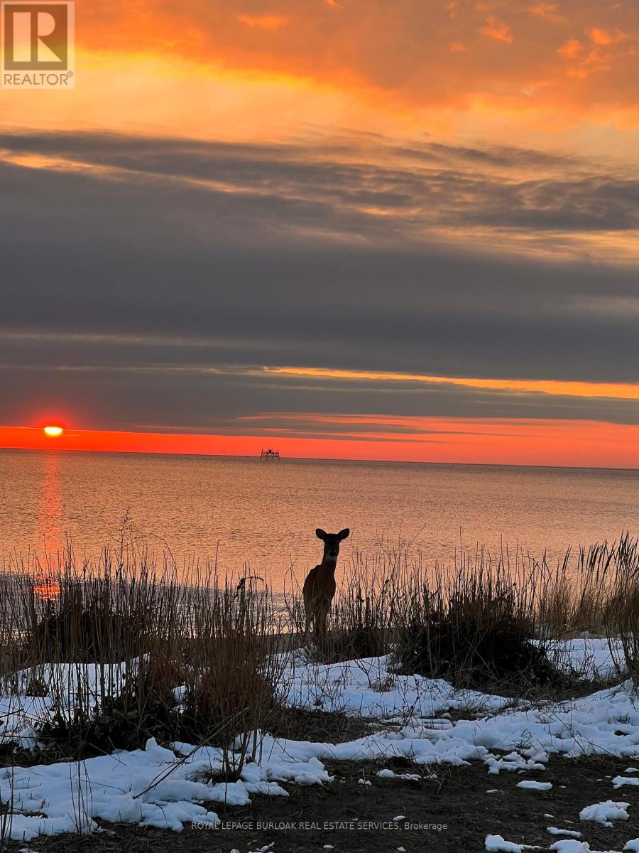 7 - 337 Beach Boulevard, Hamilton, Ontario  L8H 6W4 - Photo 42 - X12490910