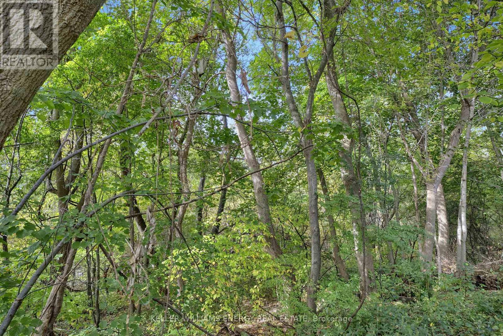 518 Camelot Drive, Oshawa, Ontario  L1K 1K4 - Photo 35 - E12467039