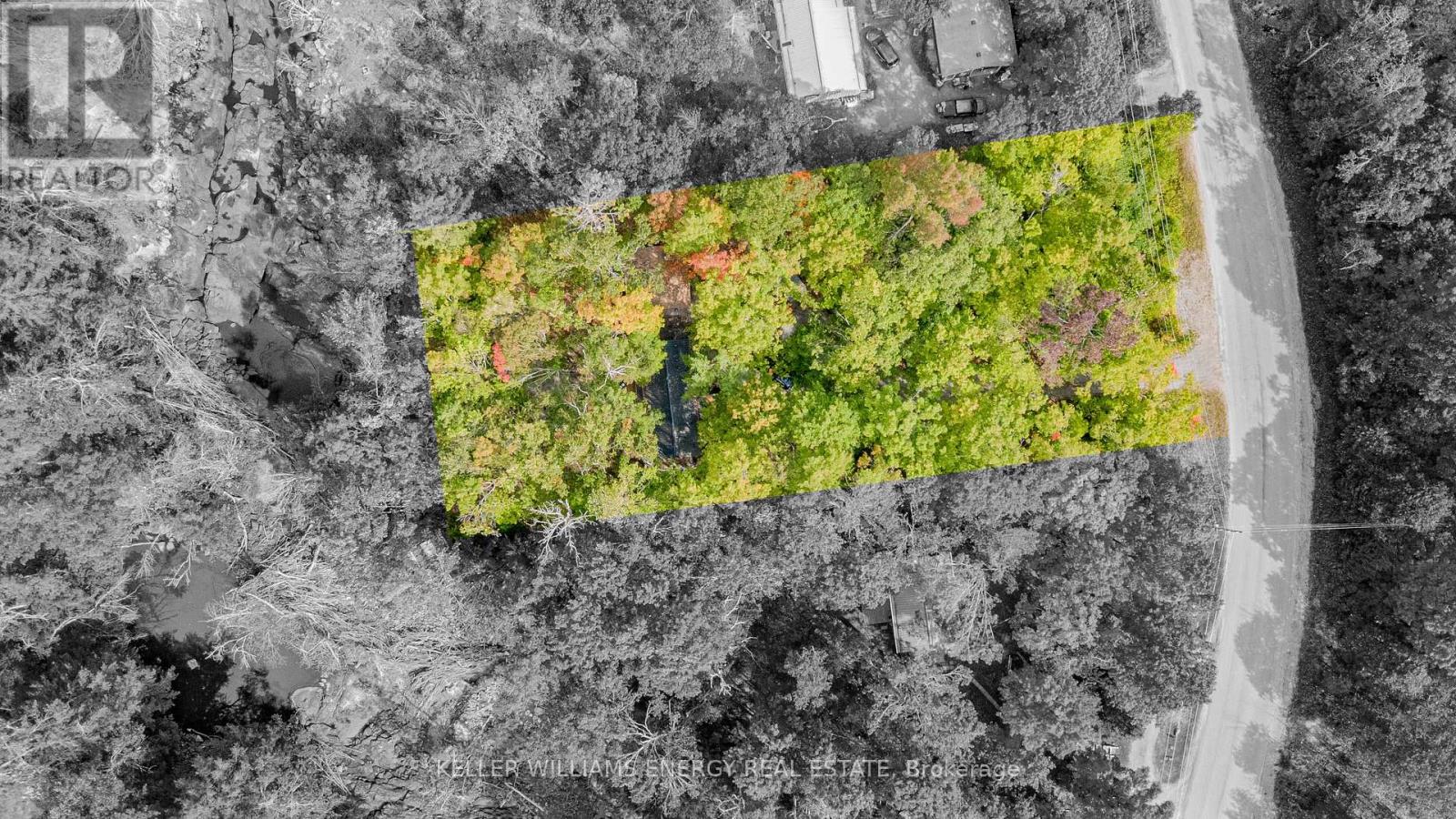 260 EDWINA DRIVE, Trent Lakes, Ontario