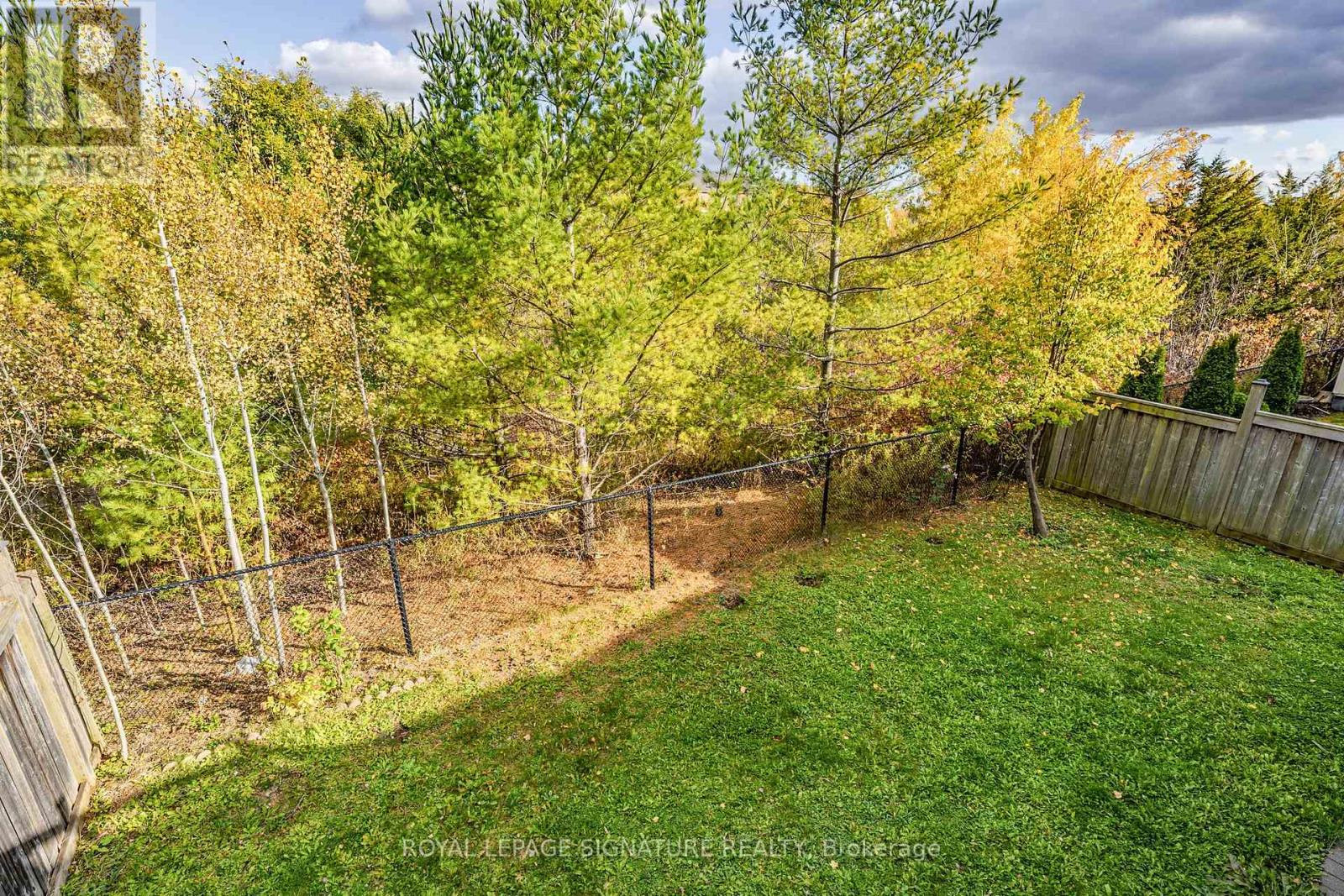 Lower - 35 Grange Drive, Richmond Hill, Ontario  L4E 4T1 - Photo 4 - N12491252