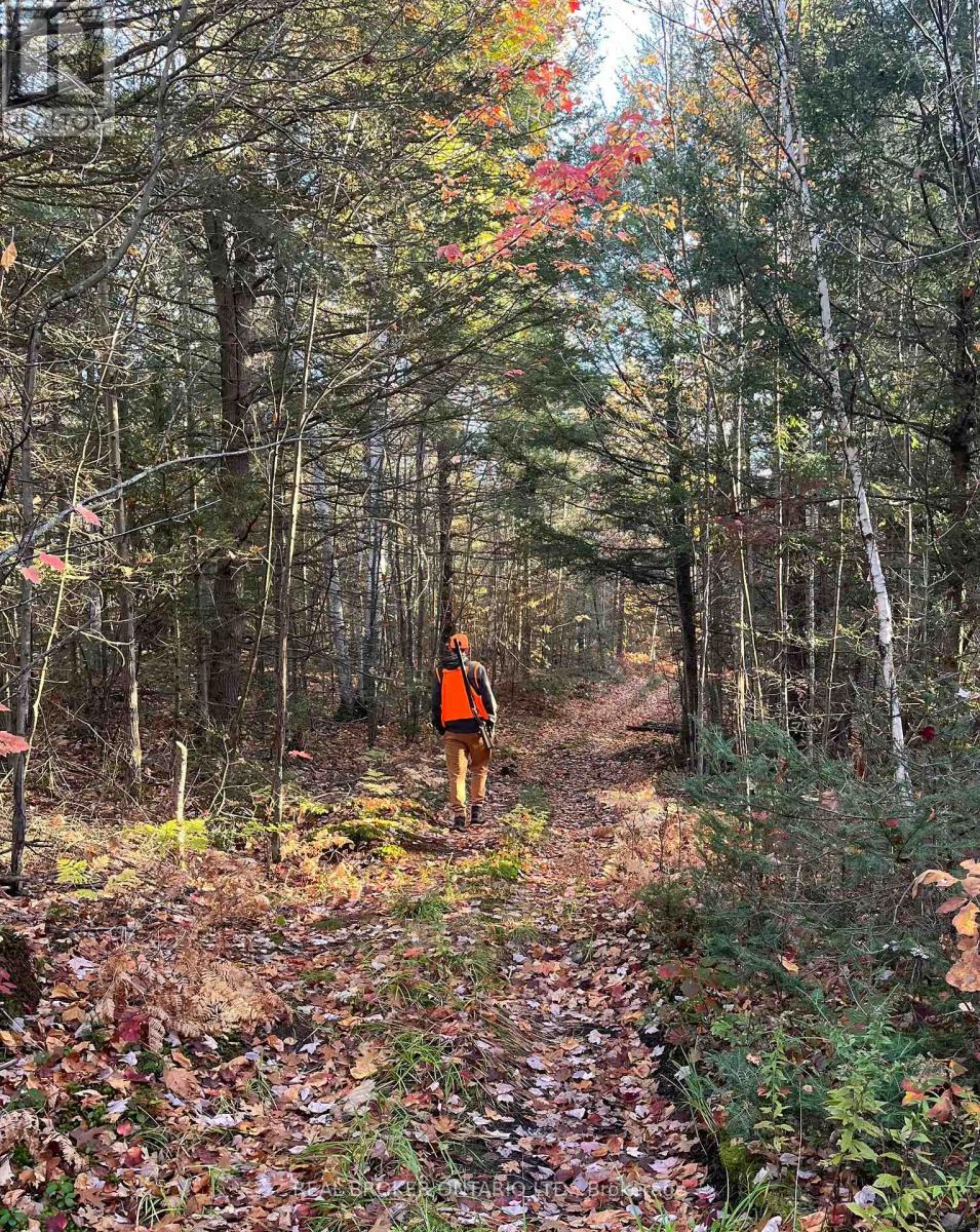 168 Northshore Road, West Nipissing, Ontario  P0H 1M0 - Photo 15 - X12491106