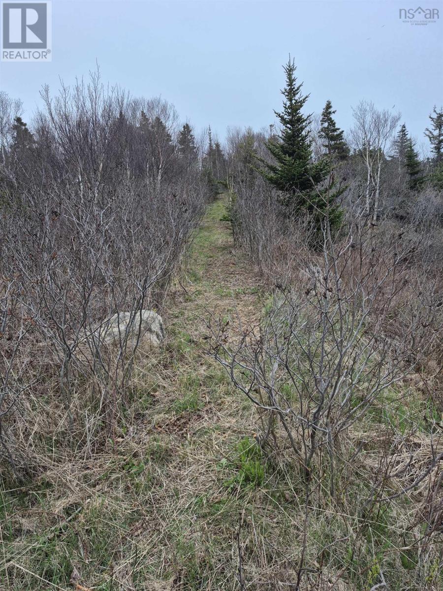 1614 + 1618 Terence Bay Road, Terence Bay, Nova Scotia  B3T 1X8 - Photo 12 - 202519503