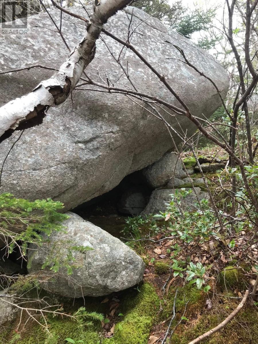 1614 + 1618 Terence Bay Road, Terence Bay, Nova Scotia  B3T 1X8 - Photo 4 - 202519503