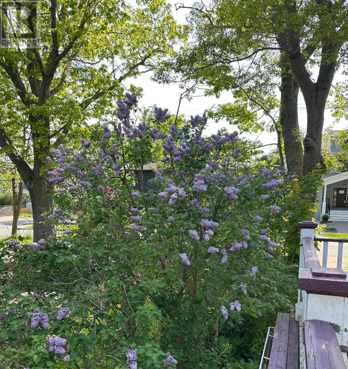 1123/1121 Cartaret Street, Halifax, Nova Scotia  B3H 3P2 - Photo 42 - 202521329