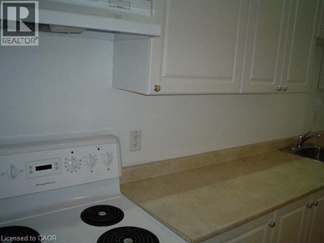 98 Duke Street Unit# Lower, Hamilton, Ontario  L8P 1X5 - Photo 4 - 40784254