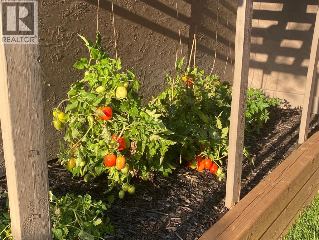 37 Thomas Street Nw, Langdon, Alberta  T0J 1X2 - Photo 18 - A2233915