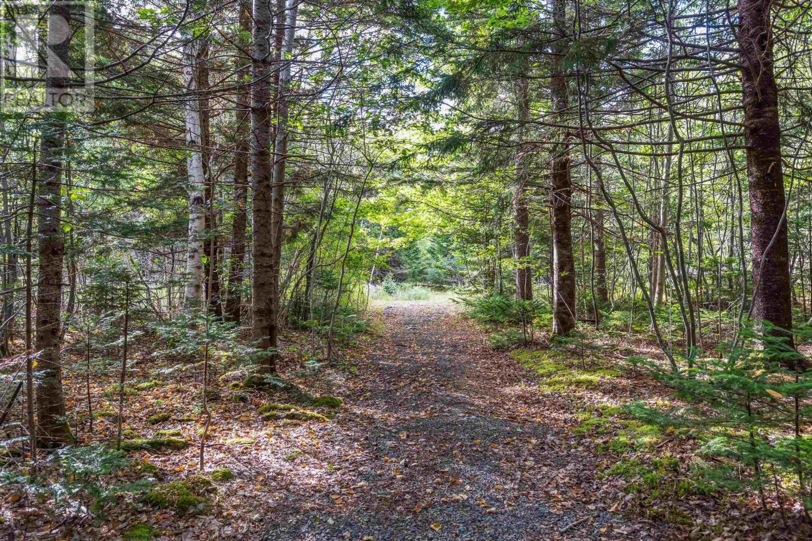 155 Old North Range Road, Plympton Station, Nova Scotia  B0W 2R0 - Photo 14 - 202521345