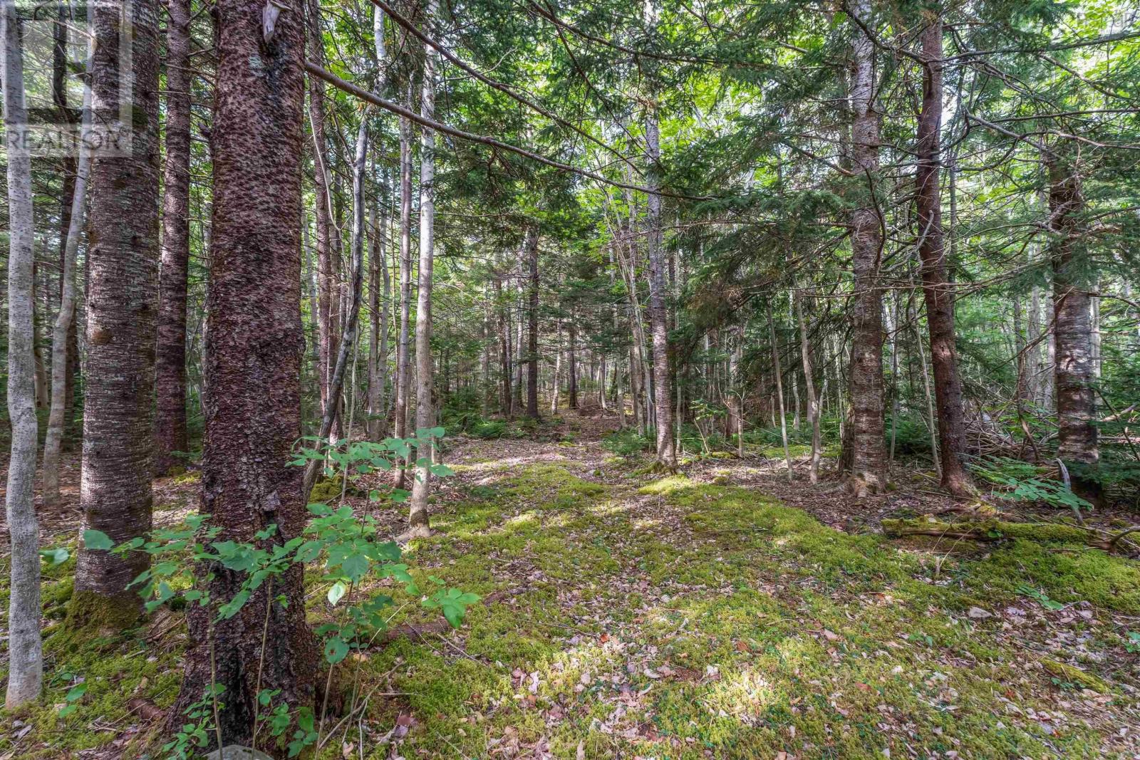 155 Old North Range Road, Plympton Station, Nova Scotia  B0W 2R0 - Photo 15 - 202521345