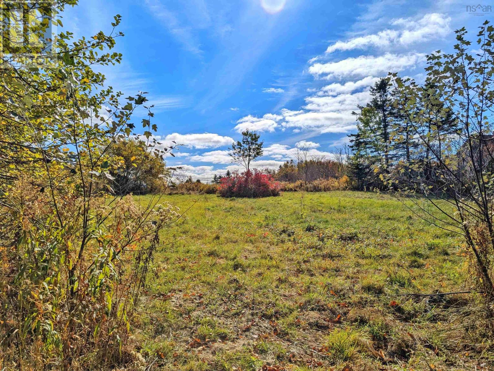 246 West Brooklyn Road, West Brooklyn, Nova Scotia  B4P 2R3 - Photo 3 - 202526297