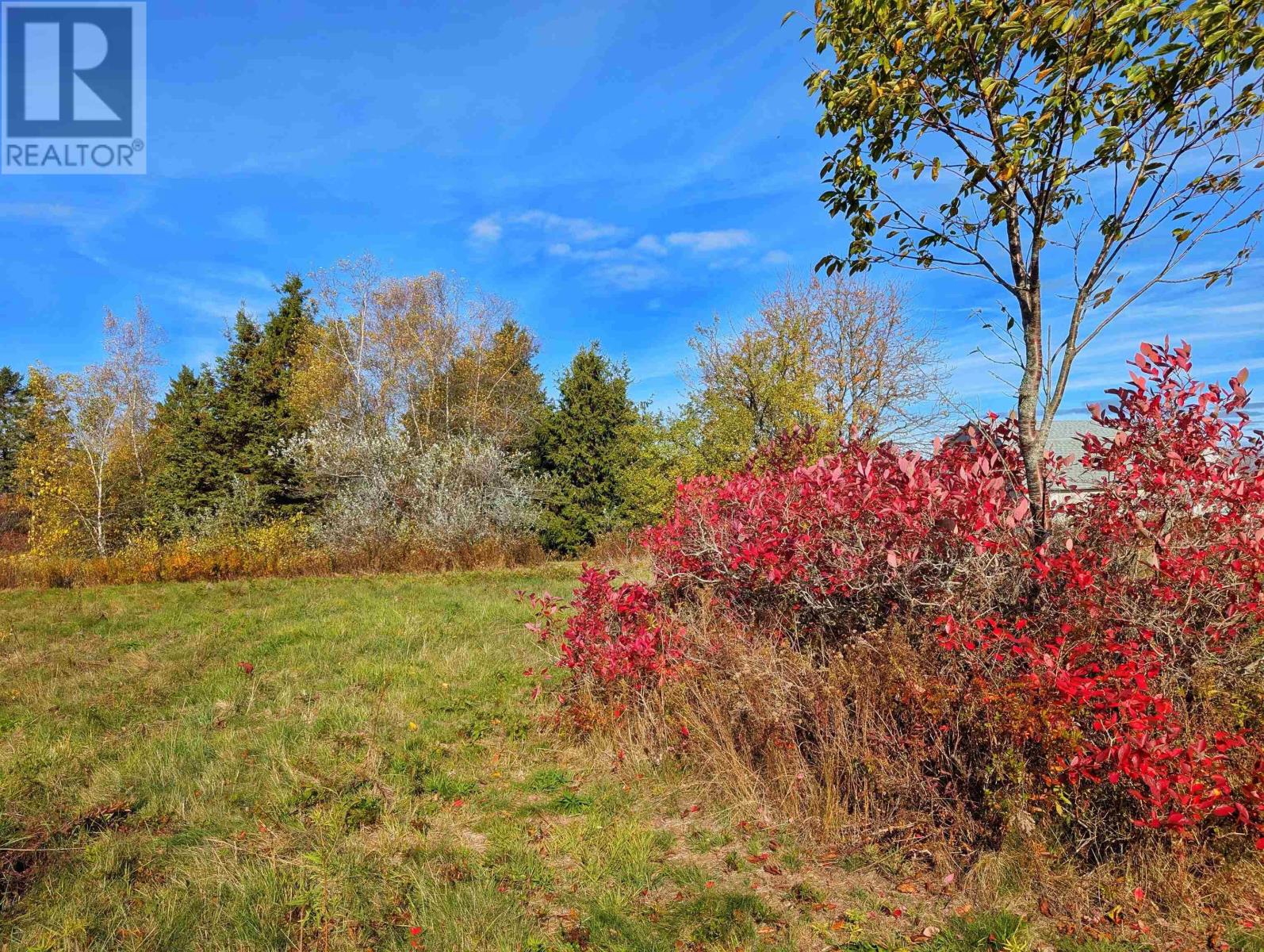 246 West Brooklyn Road, West Brooklyn, Nova Scotia  B4P 2R3 - Photo 4 - 202526297