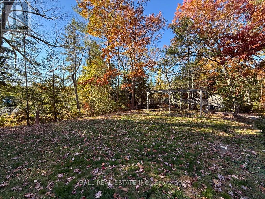 2149 Little Chipmunk Road, Douro-Dummer, Ontario  K0L 2H0 - Photo 43 - X12491638