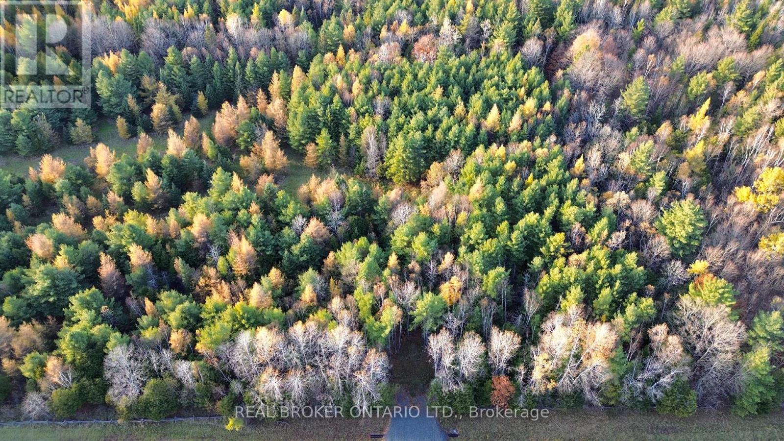 Lot 3 Watsons Corners Road, Lanark Highlands, Ontario  K0G 1K0 - Photo 10 - X12491166