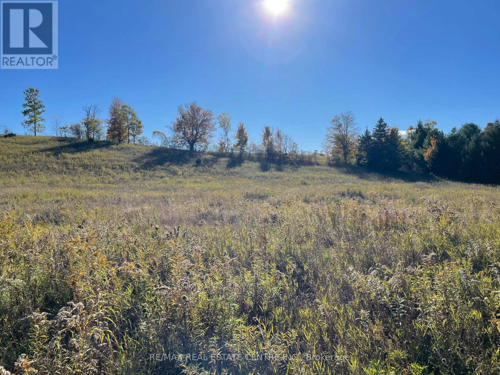 13062 NASSAGAWEYA ESQUESI TOWNLINE, Milton, Ontario