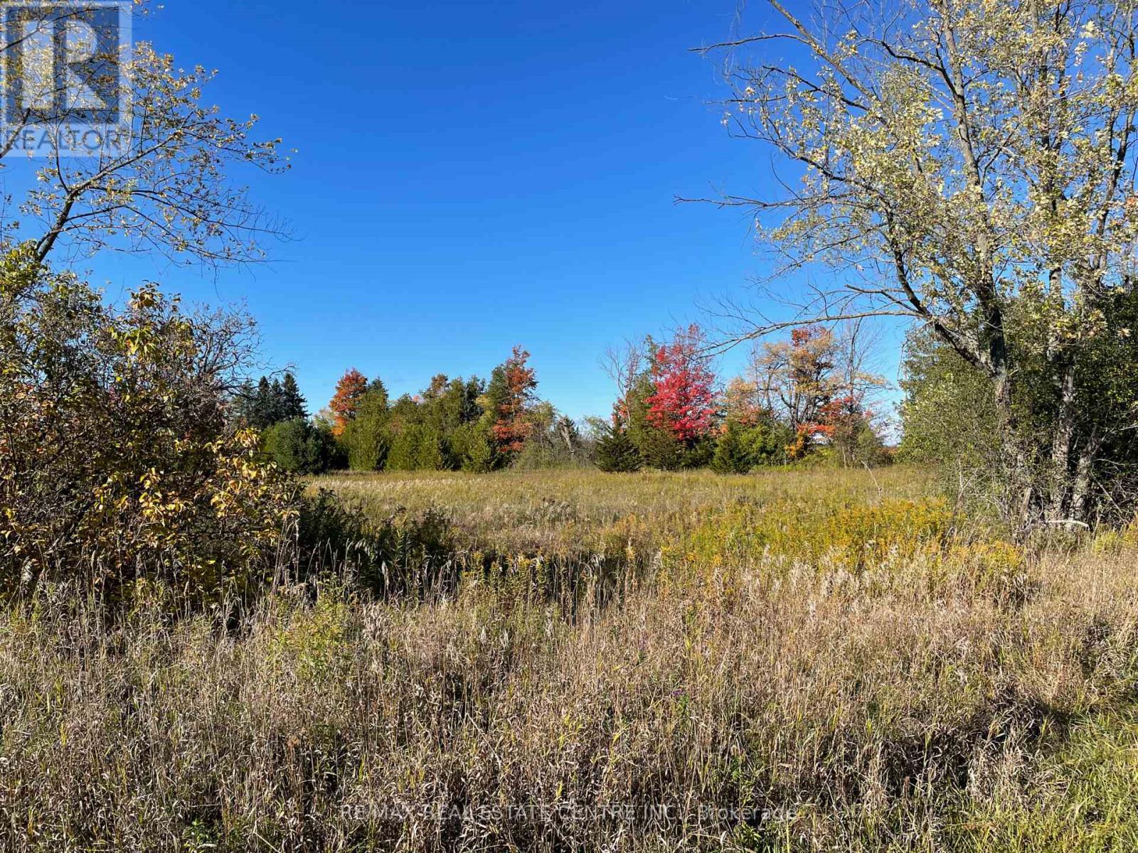 13062 Nassagaweya Esquesi Townline, Milton, Ontario  L7J 2W8 - Photo 5 - W12491412