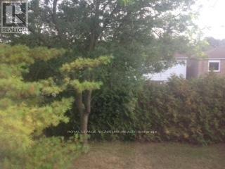 Main - 41 Ravengloss Drive, Markham, Ontario  L3T 4C8 - Photo 9 - N12491640