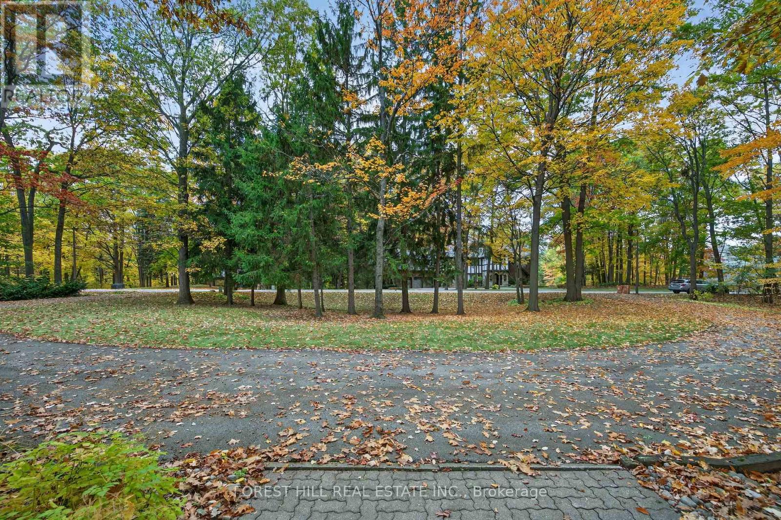 124 Forest Ridge Road, Richmond Hill, Ontario  L4E 3L8 - Photo 3 - N12491750