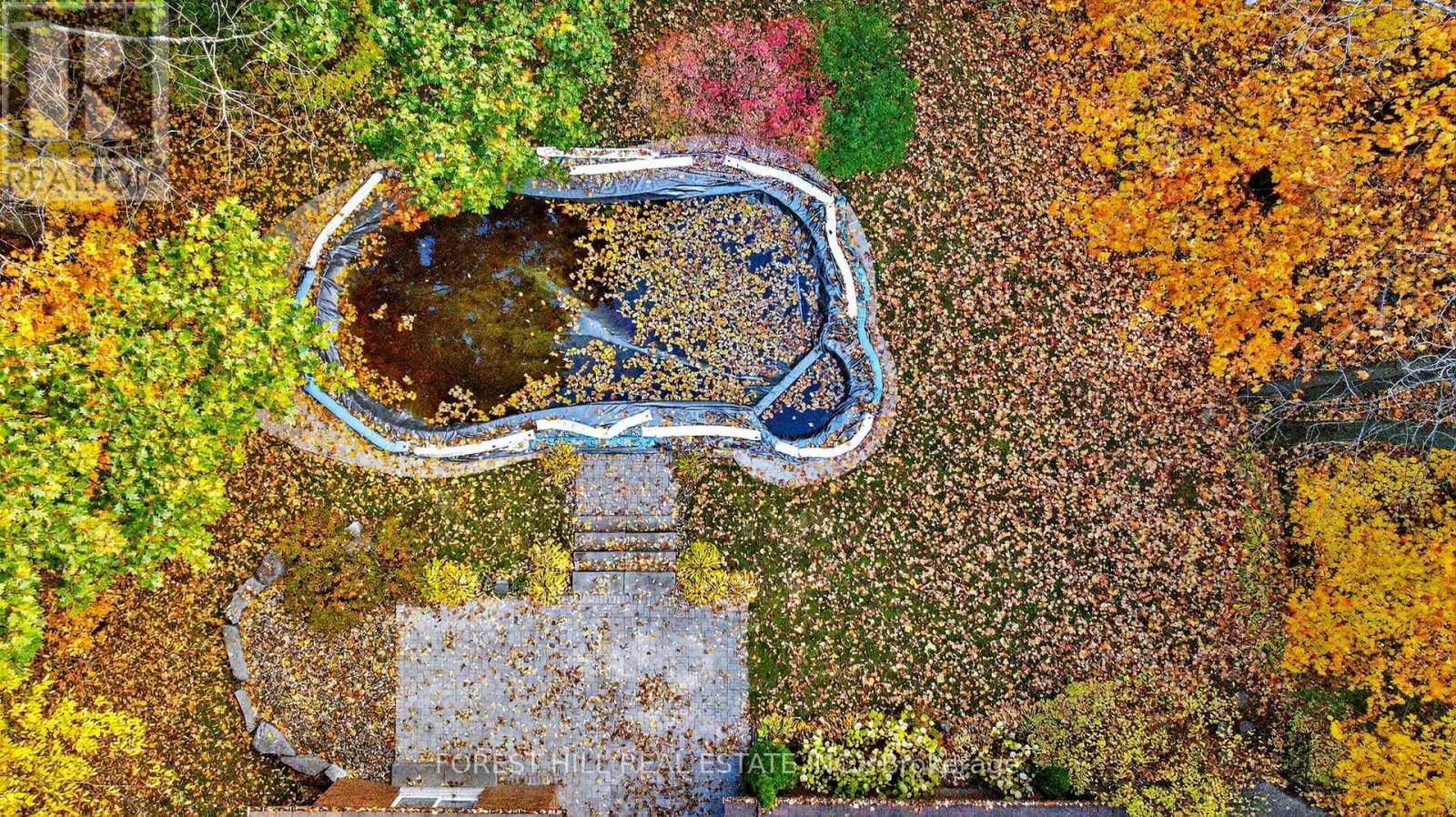 124 Forest Ridge Road, Richmond Hill, Ontario  L4E 3L8 - Photo 4 - N12491750