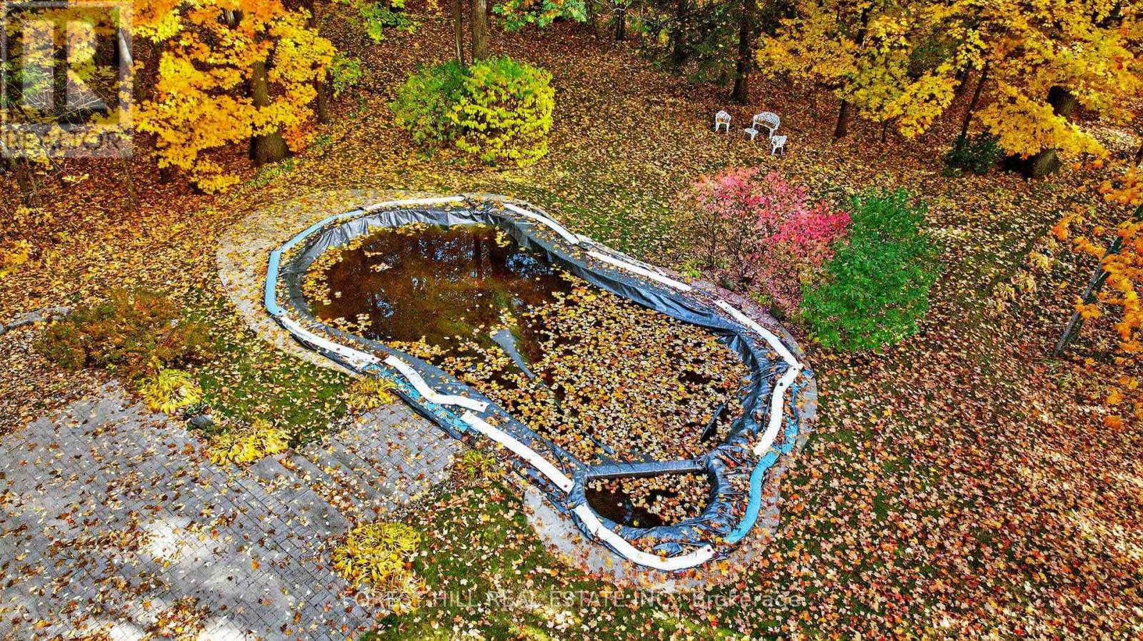 124 Forest Ridge Road, Richmond Hill, Ontario  L4E 3L8 - Photo 41 - N12491750