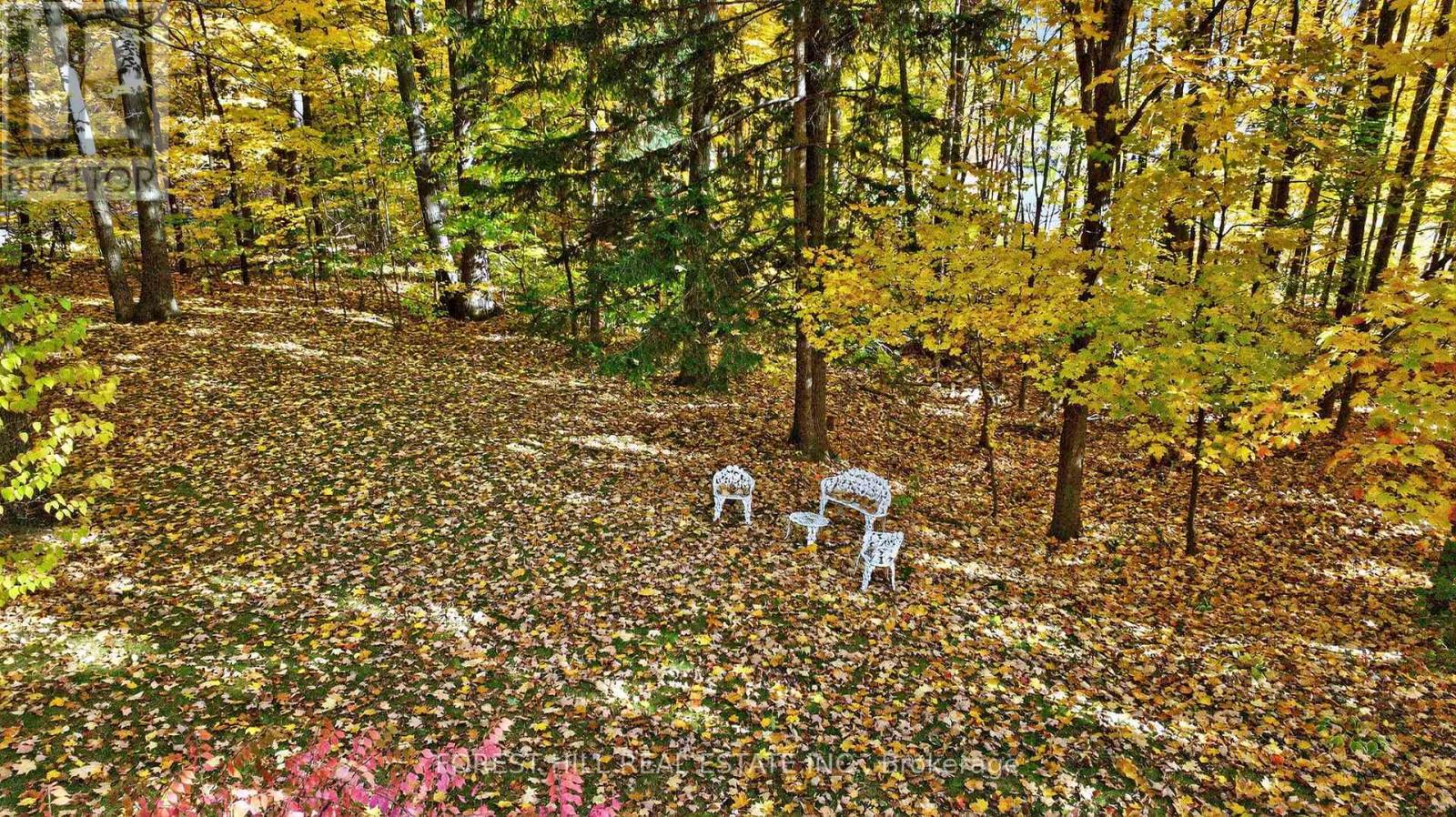 124 Forest Ridge Road, Richmond Hill, Ontario  L4E 3L8 - Photo 42 - N12491750