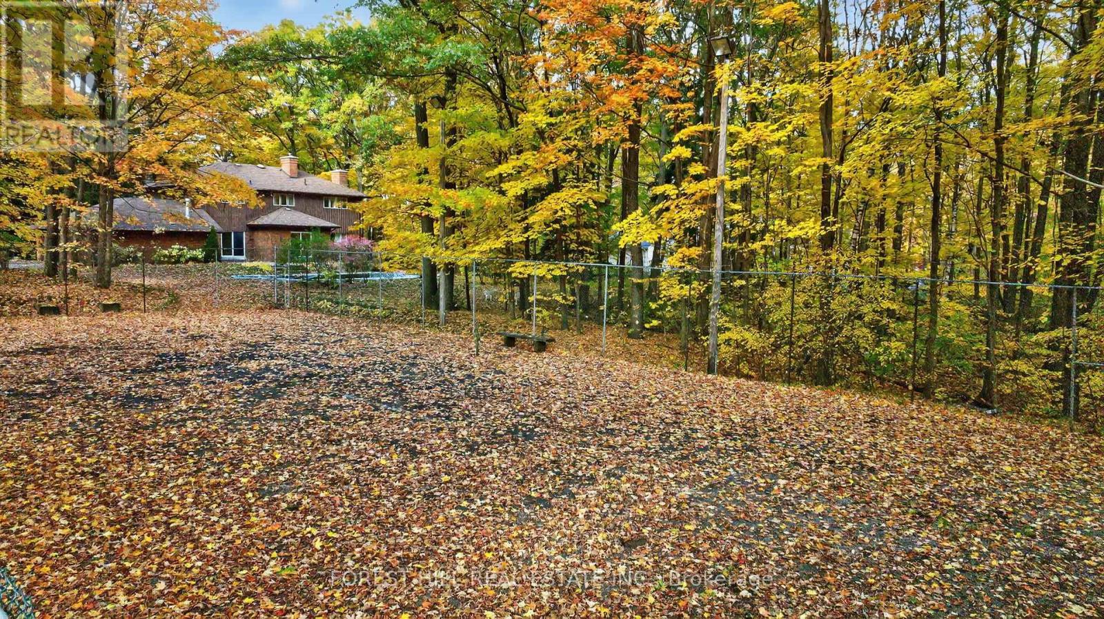 124 Forest Ridge Road, Richmond Hill, Ontario  L4E 3L8 - Photo 43 - N12491750