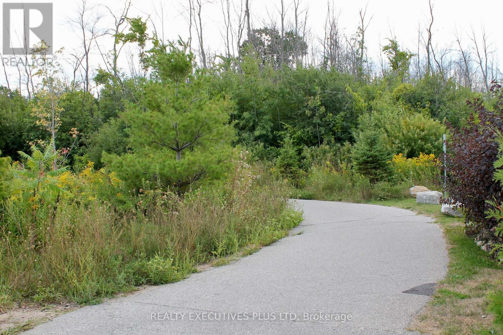 77 Kari Crescent, Collingwood, Ontario  L9Y 0Z7 - Photo 38 - S12491974