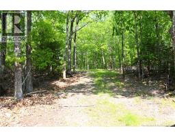 Hills Point Road, st. stephen, New Brunswick