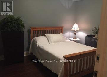 36 Clinton Street, Toronto, Ontario  M6J 2P2 - Photo 14 - C12152327