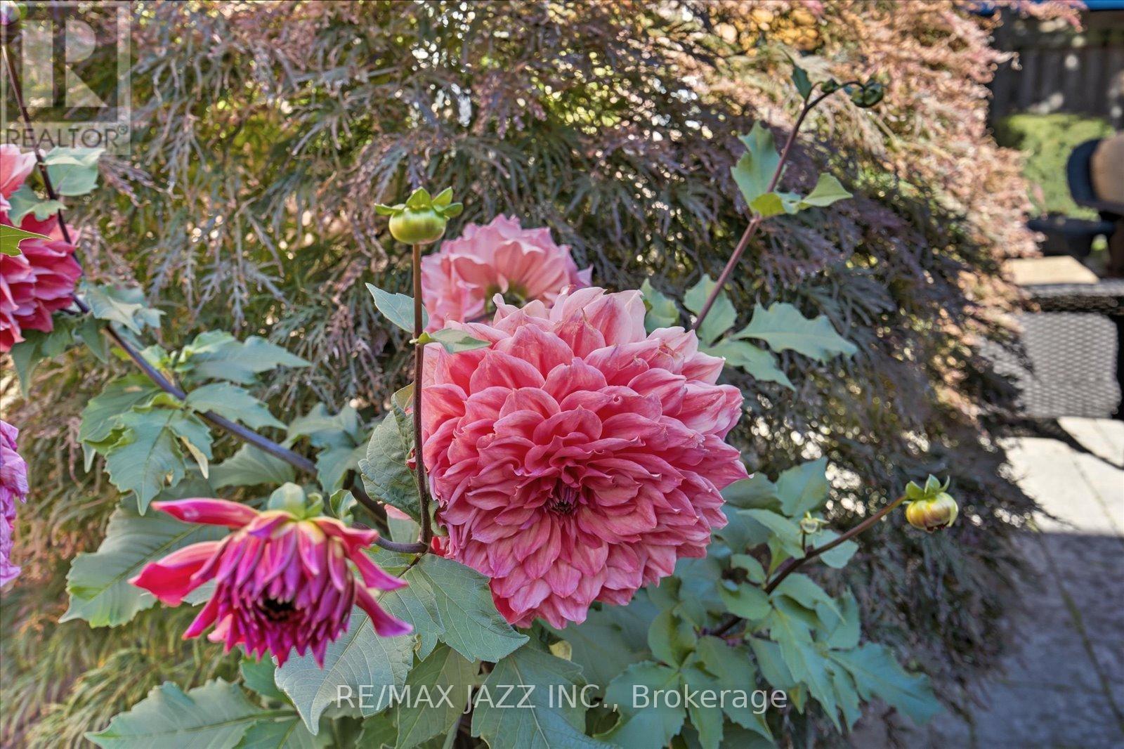 1629 Chilliwack Street, Oshawa, Ontario  L1K 0C4 - Photo 29 - E12449266