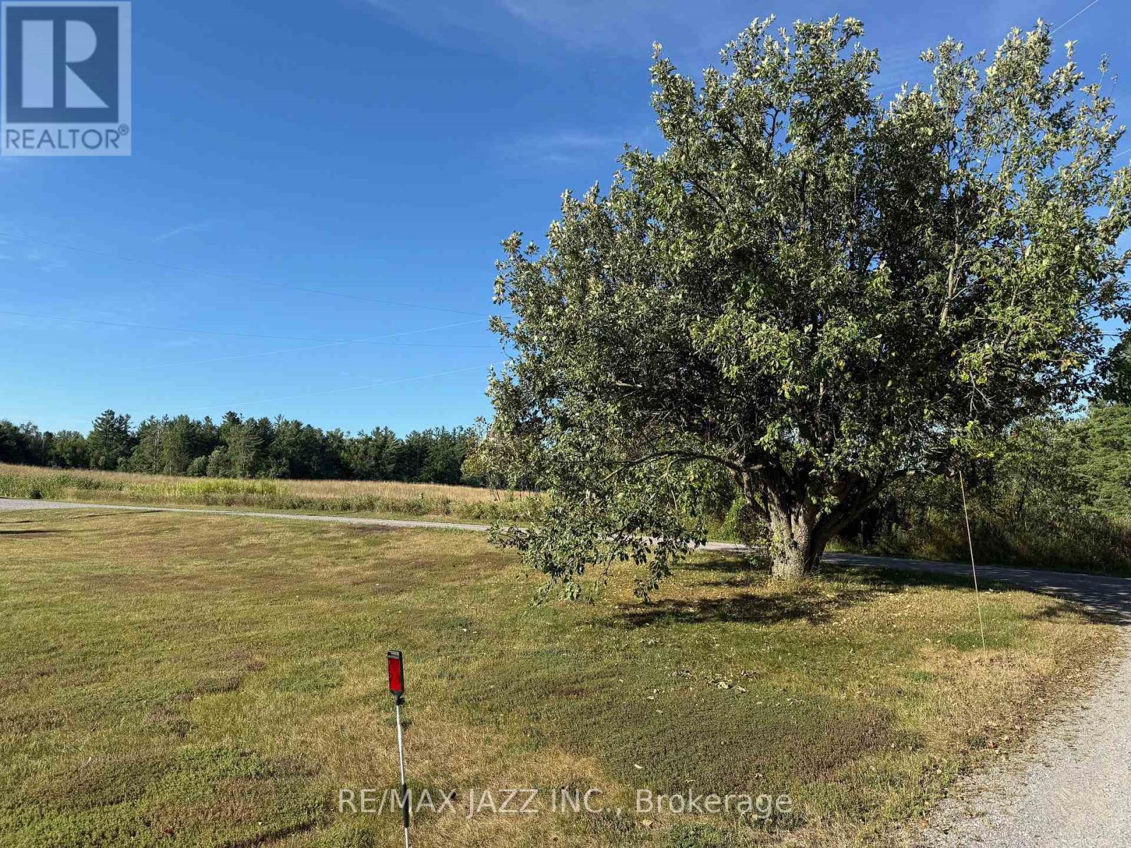 1967 Comstock Line, Asphodel-Norwood, Ontario K0L 2V0 - Photo 34 - X12352453