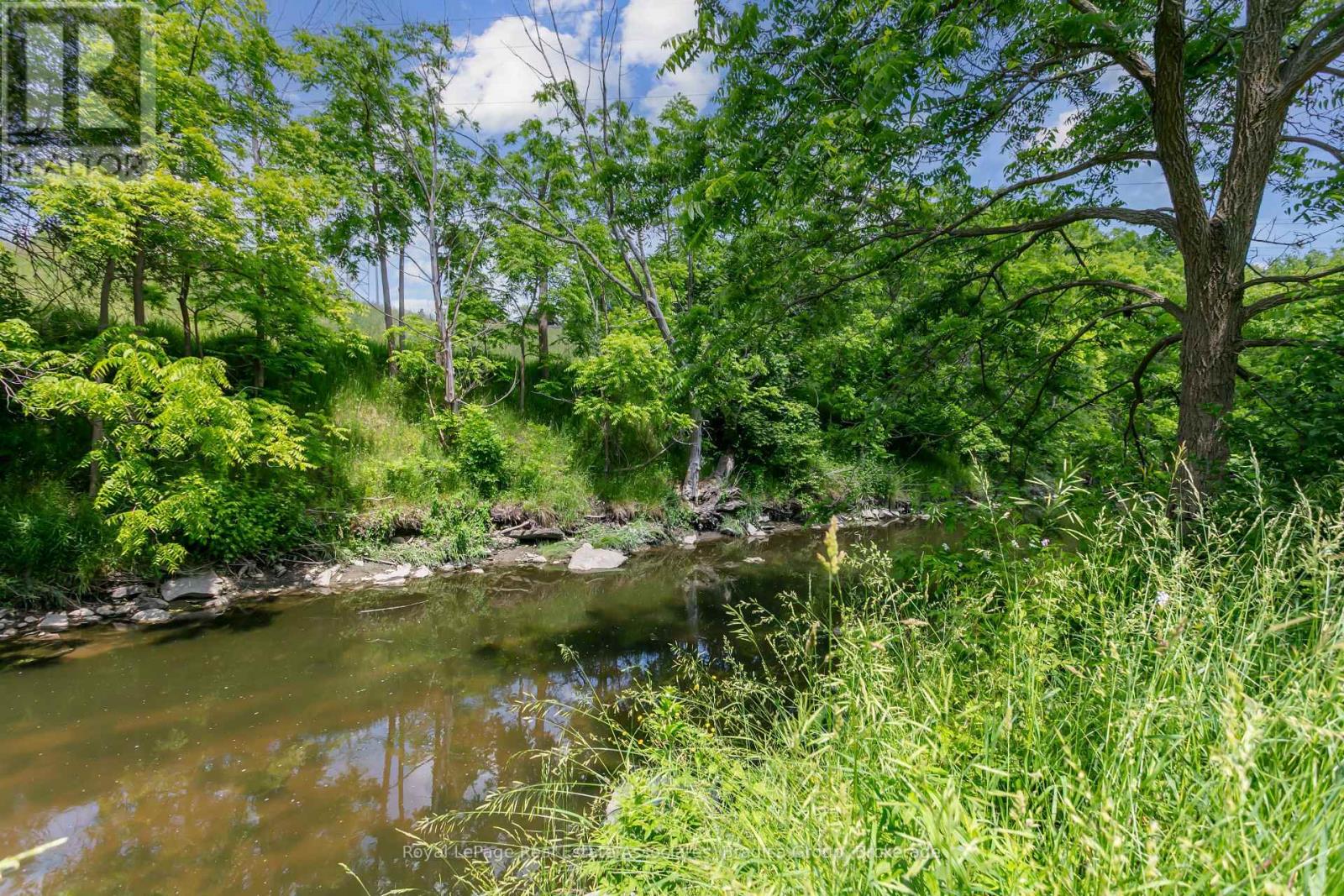 19 Lorraine Gardens, Toronto, Ontario  M9B 4Z5 - Photo 43 - W12491680