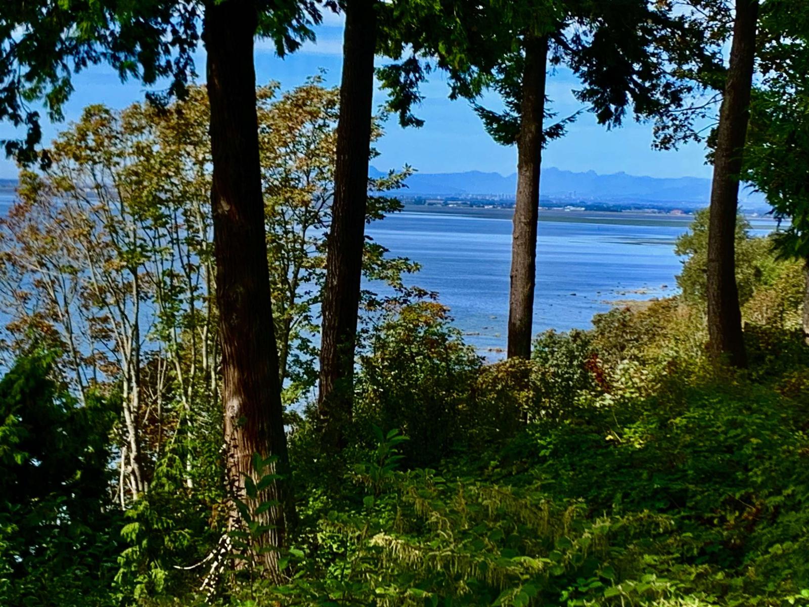 12581 16 Avenue, Surrey, British Columbia  V4A 1M7 - Photo 5 - R3032910