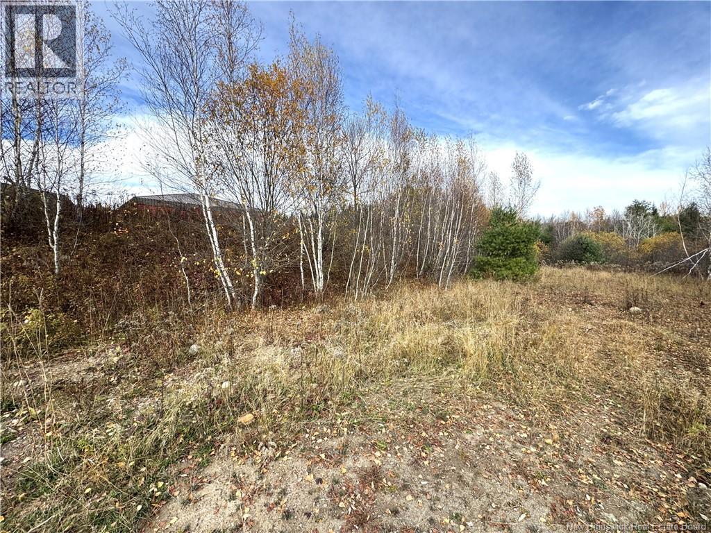 Lot Cowperthwaite Street, Fredericton, New Brunswick  E3A 9Y5 - Photo 3 - NB129395