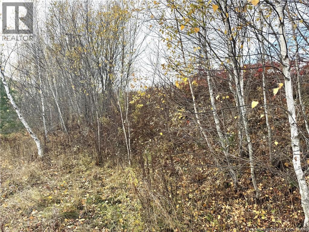 Lot Cowperthwaite Street, Fredericton, New Brunswick  E3A 9Y5 - Photo 4 - NB129395