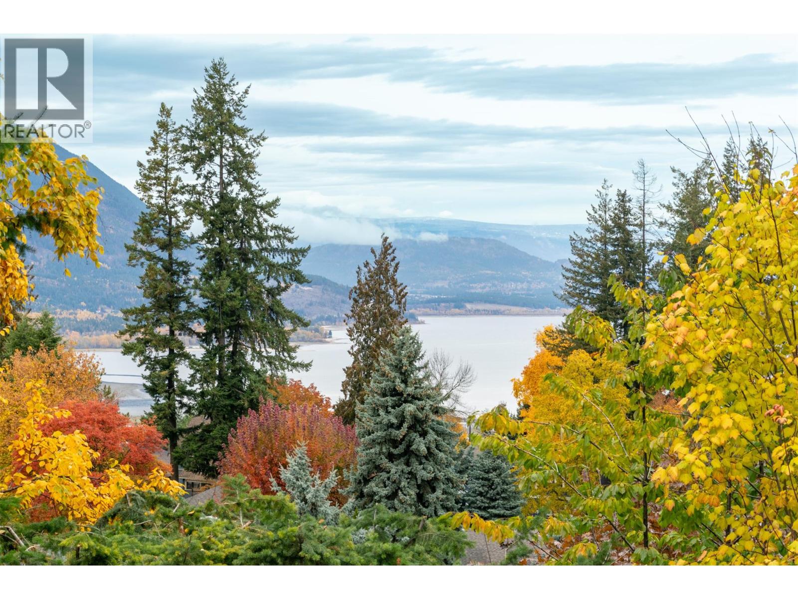 1681 18 Avenue Se, Salmon Arm, British Columbia  V1E 2M9 - Photo 23 - 10366921