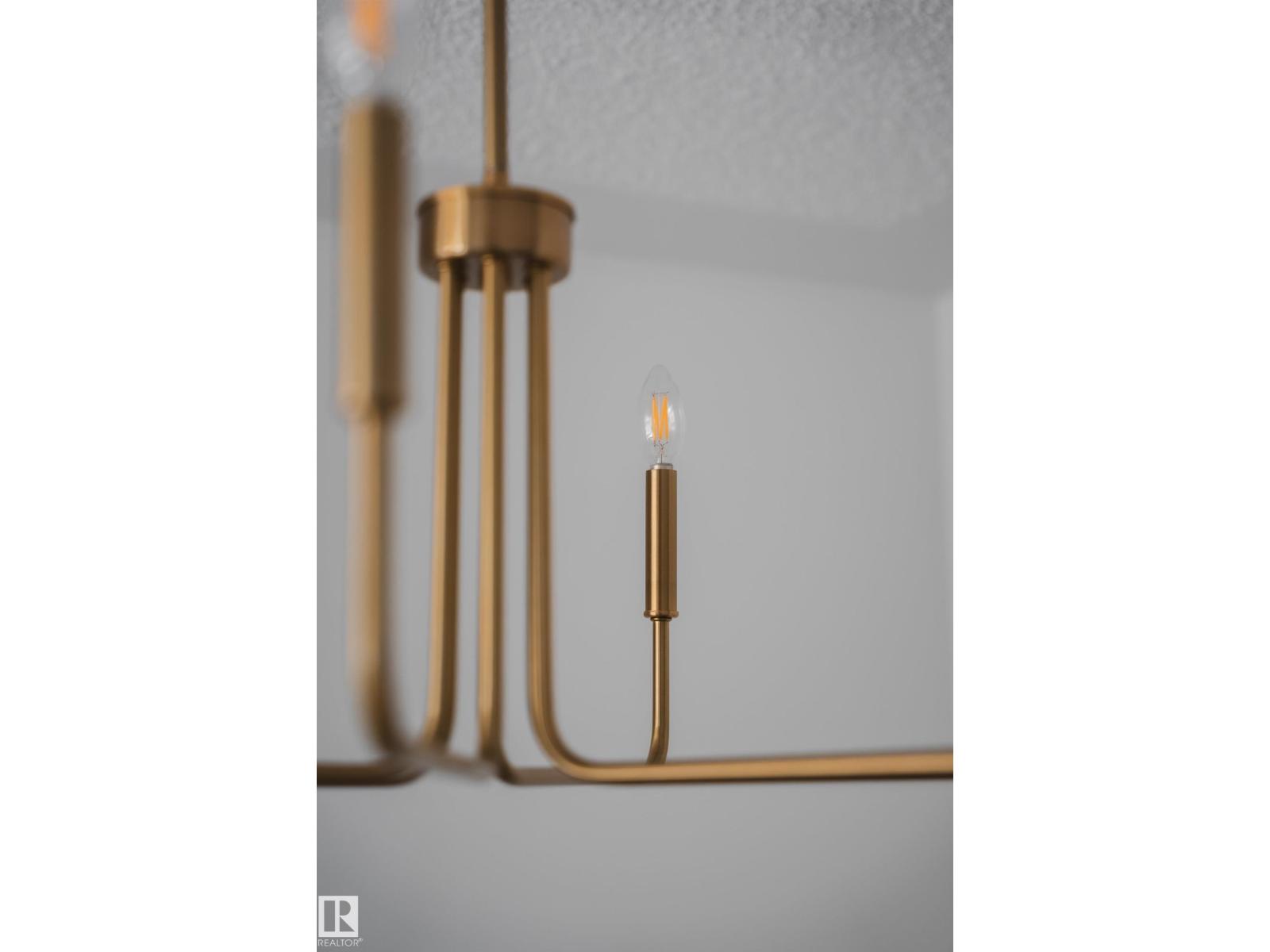 9949 171 Av Nw, Edmonton, Alberta  T5X 4X2 - Photo 49 - E4464042