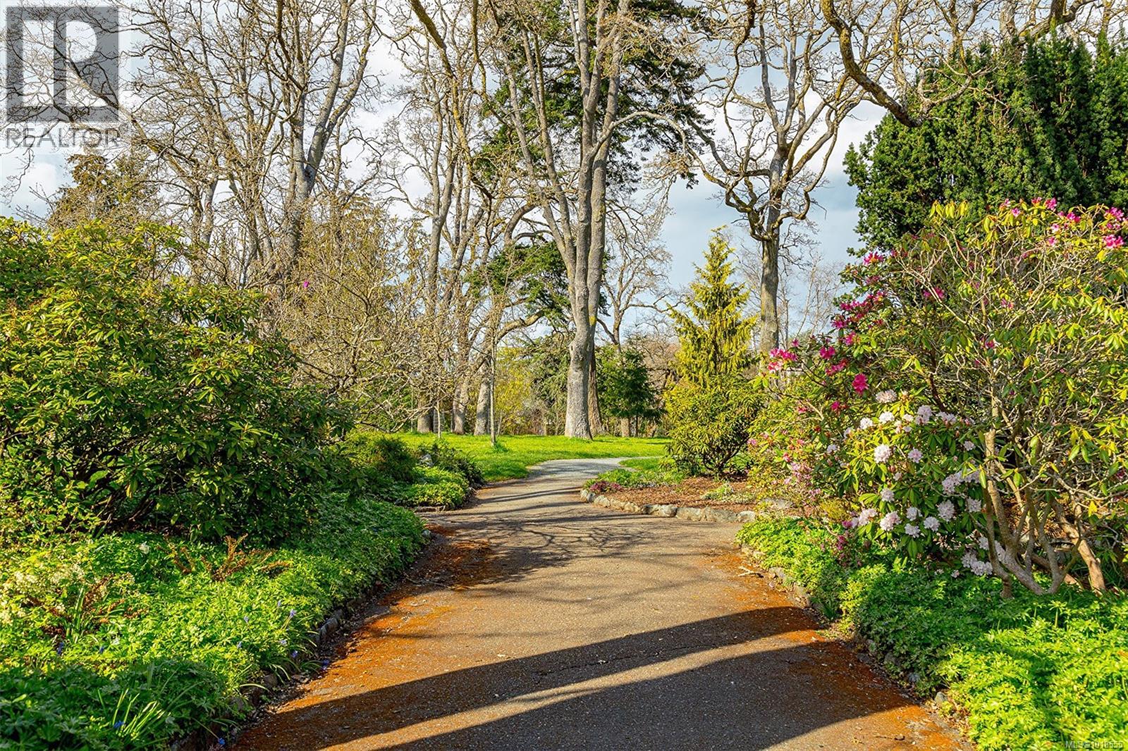 2321 Shakespeare St, Victoria, British Columbia  V8R 4G4 - Photo 34 - 1018555