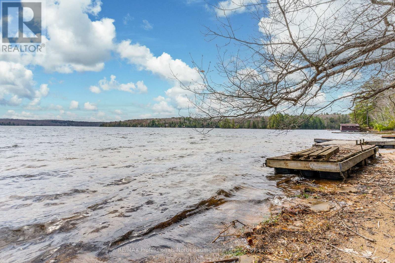 1093 Reynolds Road, Minden Hills, Ontario  K0M 2K0 - Photo 34 - X12492124